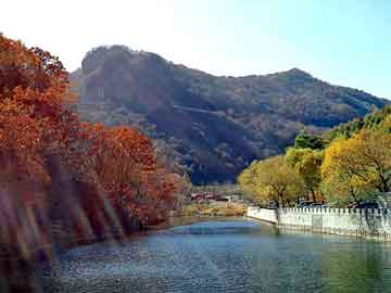 新澳天天开奖资料大全旅游团，两翼旋转门配件